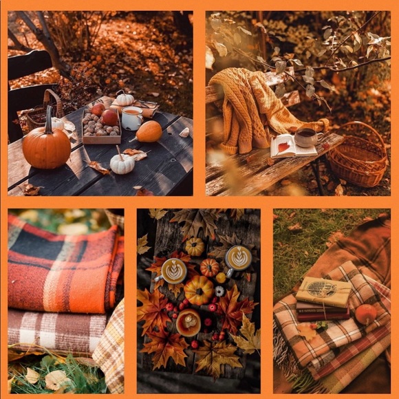 Pottery Barn Leaf Platter 🍁🍂 - Picture 15 of 16